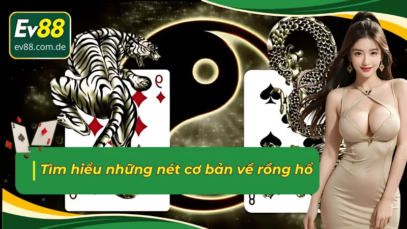 Tổng quan về rồng hổ