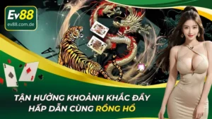 Rồng Hổ