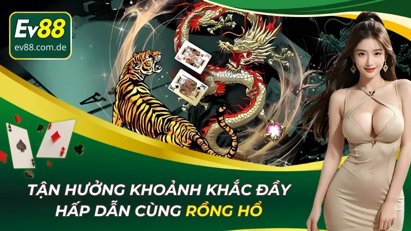 Rồng Hổ